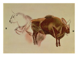 Copy of a Rock Painting of Two Bison from C15000 BC (Pastel on Paper)