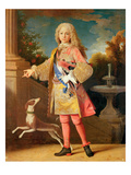 Portrait of Ferdinand of Bourbon  Prince of Asturias  C1725-35 (Oil on Canvas)