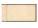 Study of Palm Trees  C1884 (Pencil on Paper)