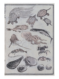 Undersea Creatures  from a Manga (Colour Woodblock Print)