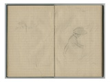 Female Study  from a Sketchbook  1888-89 (Pencil on Paper)