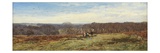 In the New Forest  Hampshire (Oil on Canvas)
