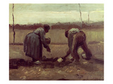 Two Peasants Planting Potatoes  1885 (Oil on Canvas)