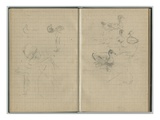 Swan and Ducks  from a Sketchbook  1886 (Pencil on Paper)