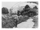 Claude Monet (1841-1926) in His Garden at Giverny  C1925 (B/W Photo)
