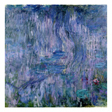 Waterlilies and Reflections of a Willow Tree  1916-19 (See Detail 414405) (Oil on Canvas)