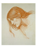 Study of a Girl's Head (Red Chalk on Paper)