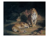 A Pair of Leopards  1845 (Oil on Canvas)