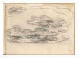 Nympheas (Pencil on Paper)