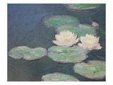 Waterlilies  Evening; Detail (Oil on Canvas) (See also 154665)
