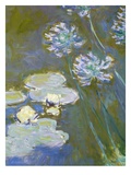 Waterlilies and Agapanthus  1914-17 (Detail of 82323) (Oil on Canvas)