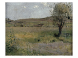 Summer Landscape (Oil on Canvas)
