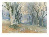 Fairies and Squirrels  C1870 (W/C on Paper)
