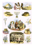 Biblical Illustrations