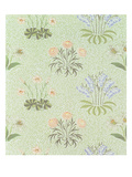 Daisy Design Wallpaper with Lily of the Valley and Other Wild Flowers on a 'Willow' Background