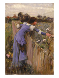 The Flower Picker (Oil on Canvas)