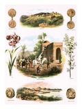 Biblical Illustrations