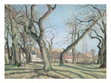 Chestnut Trees at Louveciennes  1872