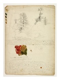 Beautiful Groups of Pines; Tints from Maples  New Hampshire  September 30th 1828