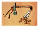 Tomahawk Pipe  Blackfoot Tribe (Steel and Textile)