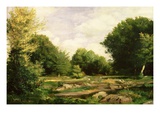Clearing in the Woods  1865 (Oil on Canvas)
