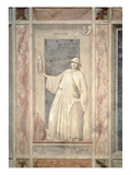 Infidelity  C1305 (Fresco)