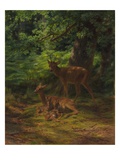 Deer in Repose  1867 (Oil on Canvas)