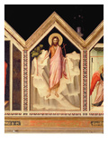 St John the Baptist  from the St Reparata Polyptych