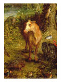 Earth or the Earthly Paradise  Detail of a Cow  Porcupine and Other Animals  1607-08
