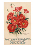 Poster Advertising Northrup  Kings and Co's Seeds  C1898 (Colour Litho)
