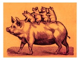 Pig with its Piglets  Illustration from 'Cole's Funny Picture Book' (Digitally Enhanced Image)