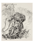 A Lion Savaging a Tiger