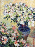 Azaleas  1885 (Oil on Canvas)