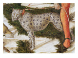 Leopard Straining on a Leash  Detail from the Journey of the Magi Cycle in the Chapel  C1460