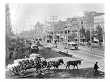 Canal Street  New Orleans  Louisiana  C1890 (B/W Photo)