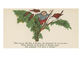 There Was an Old Man of Dundee  Who Frequented the Top of a Tree