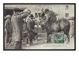 Postcard Depicting a Farmer in the Haute-Loire Selling Food at the Market  C1900 (B/W Photo)