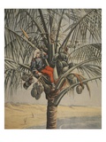 The Spanish American War  Illustration from 'Le Petit Journal: Supplement Illustre'  12th June 1898