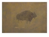 Buffalo in a Sandstorm (Oil on Paper Mounted on Board)