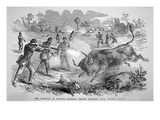The Campaign in Georgia - Federal Troops Foraging Near Warsaw Sound (Engraving)