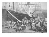 Unloading a Ship  Port of New York City  1877 (Litho)