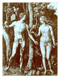 Adam and Eve  1504  from Reproduction in 'Albrecht Duerer Kupferstiche'  Published 1920