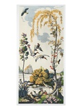 Magnum Opus: Canvasbacks  Pub 1933 (Colour Litho)