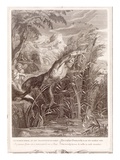 Pan Pursues Syrinx: She Is Transformed into a Reed  1731 (Engraving)