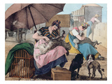 Dog Clippers on the Pont-Neuf  1820 (Colour Litho)