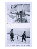 Top: Furling 'Terra Nova's' Sail in the Ice Pack Bottom: Ponting and Lashly Bringing Home Octopus