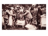 Bee-Keeping Instruction under Lord Eglinton's Scheme: Comb-Examination