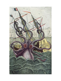 Giant Octopus  Illustration from 'L'Histoire Naturelle Generale Et Particuliere Des Mollusques'
