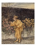 Every Flower Changed to Gold  Illustration from 'A Wonder Book for Girls and Boys'