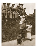 A Tall Australian Assists in Selling Roses to Wounded Soldiers: a Rose Day Incident